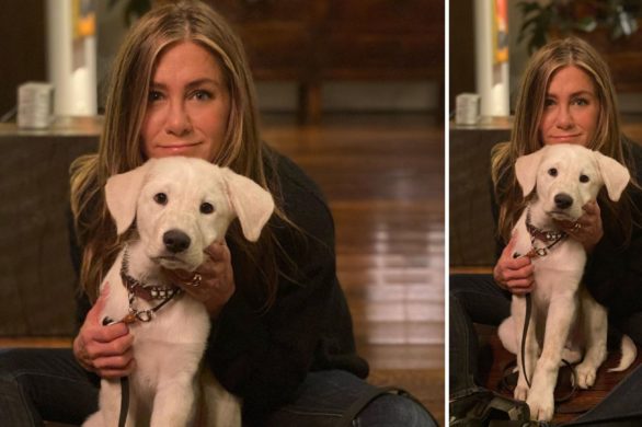 Jennifer Aniston o życiu rodzinnym, dzieciach i korzystaniu z aplikacji randkowych