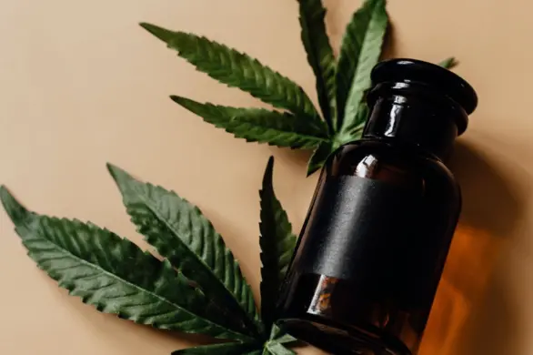 Przetestowałam kosmetyki konopne. Oto, jak sprawdziły się w codziennej pielęgnacji