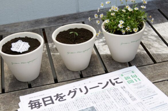 W Japonii powstała “Zielona Gazeta”. Można ją posadzić w… ziemi