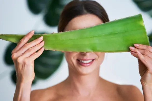 Genialne zastosowanie żelu aloesowego. Zobacz, jak używać go na włosy