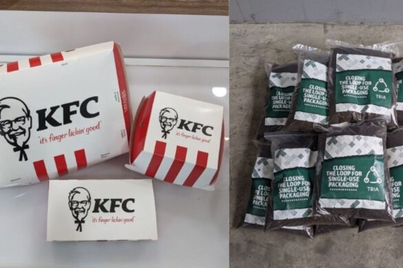 KFC sprawdzi roślinne opakowania, które zmienią się w nawóz rolniczy