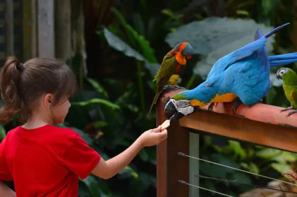 Łódzkie ZOO odpowiada na plakat „Gdzie są TE dzieci?”