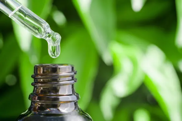 Olejek jojoba na włosy – jak go używać, by osiągnąć maksymalne korzyści?
