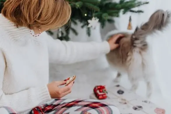 Wygodne piżamy damskie na zimę – dlaczego warto mieć uroczą piżamę na sezon świąteczny?