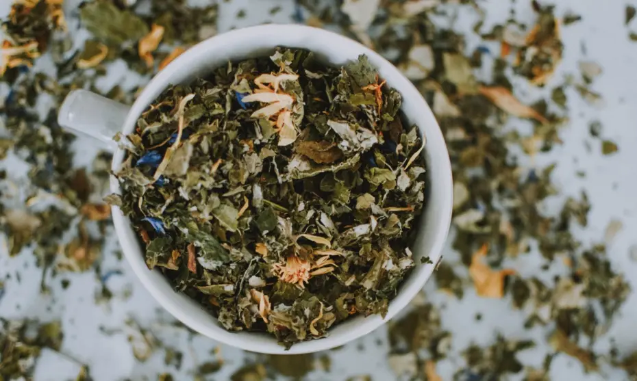 Czysta i promienna skóra? Pij ziołowe herbatki! Każda z nich pomaga na inny problem ze skórą