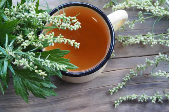 Chwast o legendarnych właściwościach wspierających dobre samopoczucie i zdrowie