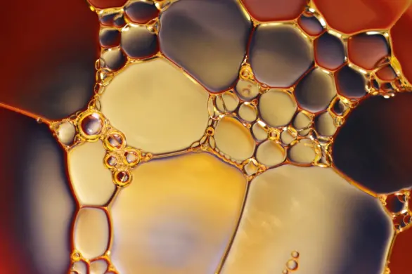 Olej monoi: płynne złoto dla włosów. Jak go stosować, by zyskać maksimum korzyści i pokryć pasma taflą blasku