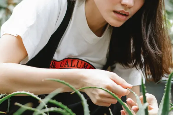 Płyn do demakijażu z aloesem: usuniesz makijaż bez wysiłku i odżywisz skórę