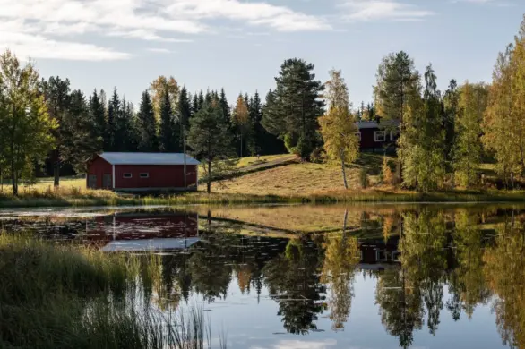 Fiński przepis na życie. Dwie zasady, które uczynią codzienność szczęśliwą i harmonijną