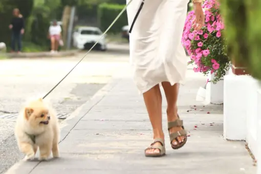 Klapki Birkenstock: wygoda i styl w jednym