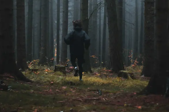 Jesienny jogging krok po kroku. Jak zacząć regularnie biegać?