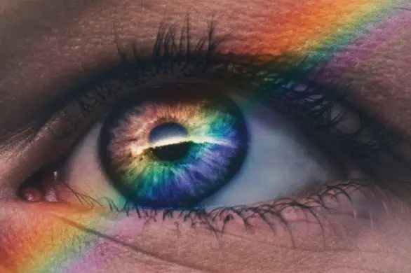 Wyniki tęczowego rankingu „Rainbow Map”. Polska najbardziej homofobicznym krajem UE