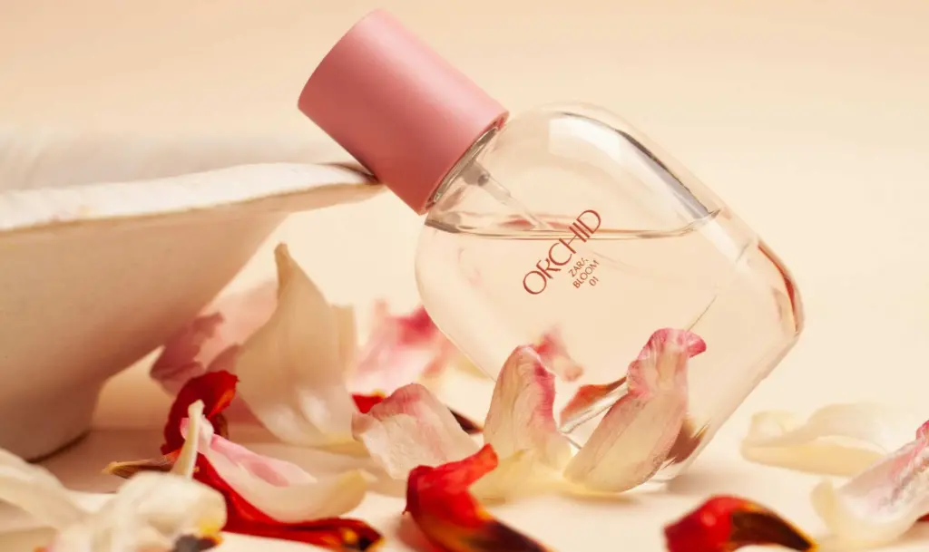 cherry-laithang-rImaJ3WsgOM-unsplash