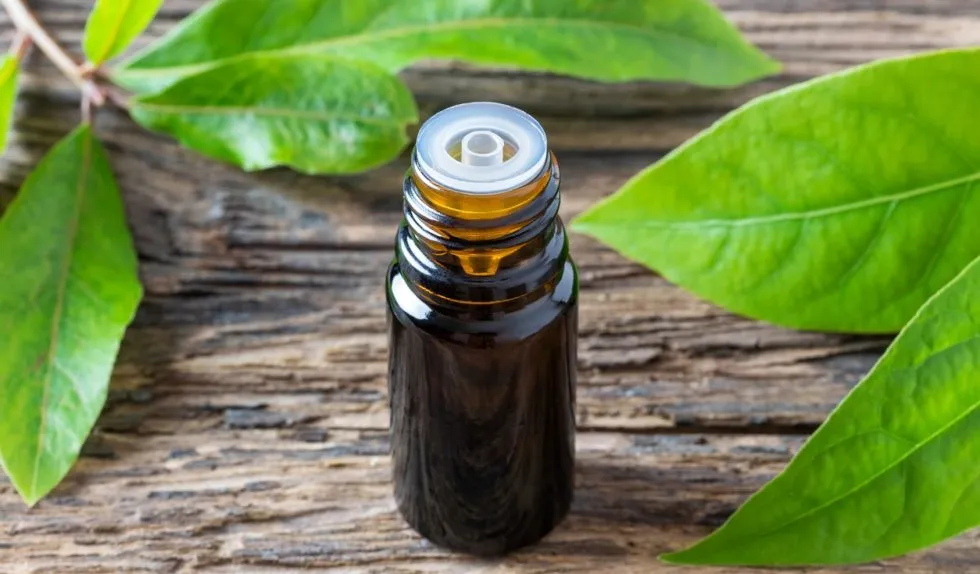 Jak działa olejek kamforowy?