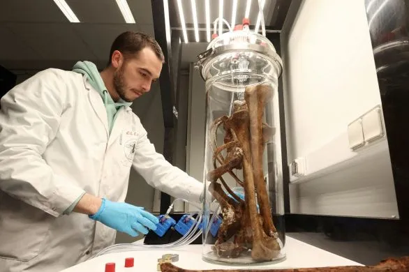 Perfumy śmierci. Belgijski naukowiec tworzy zapach ludzkich szczątków