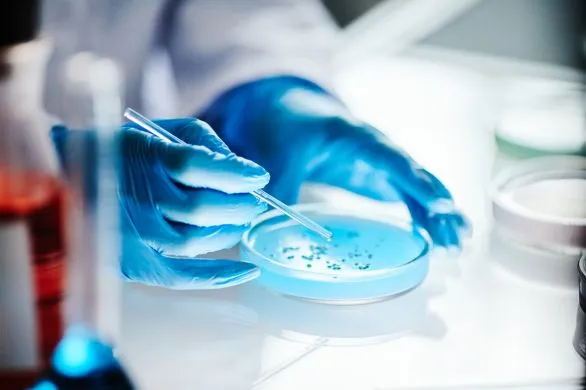 Brunatna tkanka tłuszczowa kluczem do dłuższego życia? Nowe odkrycie naukowców