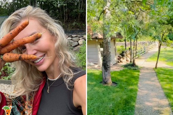 Agnieszka Woźniak-Starak pochwaliła się ogródkiem. „Marchewki mam lepsze niż David Beckham w swoim”