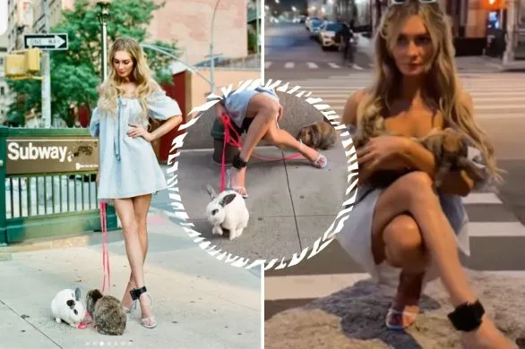 Anna Delvey porzuciła króliki po sesji zdjęciowej. Obrzydliwe zachowanie fałszywej dziedziczki