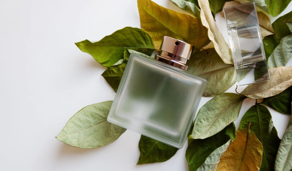 Zielone perfumy na jesień. Najpiękniejsze zapachy inspirowane spacerem po lesie