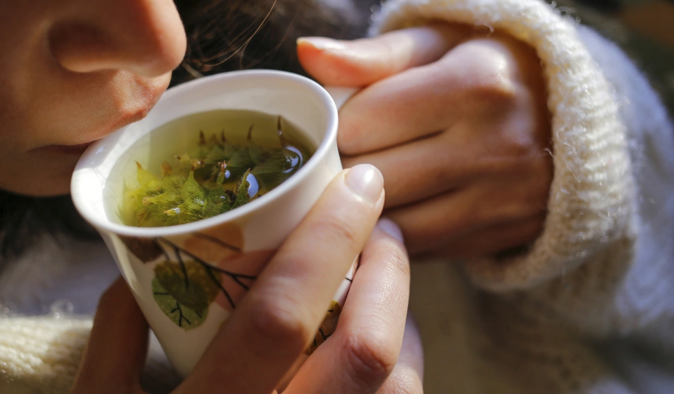 Jakie zioła pić na wypadanie włosów?