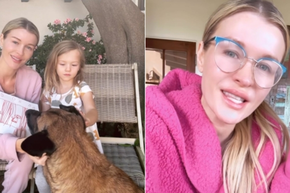 Joanna Krupa z mocnym apelem w sprawie schronisk dla zwierząt: „Bierzcie się za siebie i do roboty”