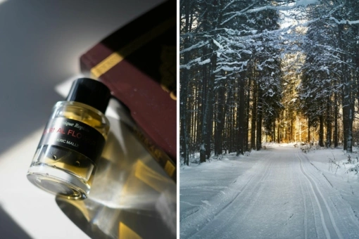 Top 5 zimowych zapachów, które wyróżnią cię z tłumu