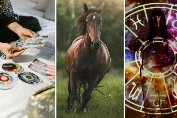 Odwaga, ruch i wielkie decyzje, czyli nadchodzi Rok Ognistego Konia