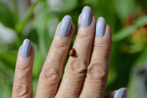 Denim nails, czyli jeansowe paznokcie to jeden z ciekawszych trendów na wiosnę 2026