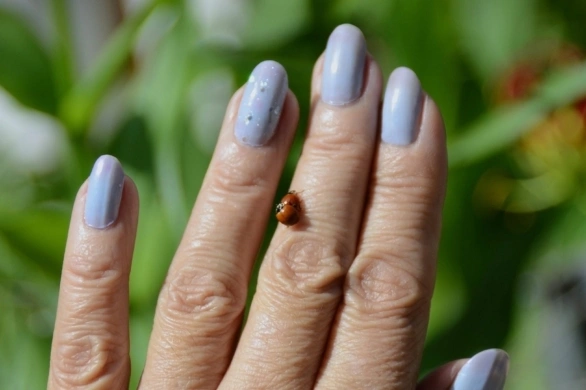 Denim nails, czyli jeansowe paznokcie to jeden z ciekawszych trendów na wiosnę 2026
