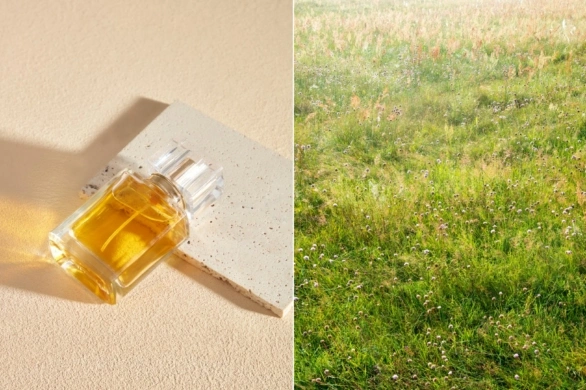 Najpiękniejsze perfumy z nutą miodu na wiosnę. Pachną jak spacer po łące