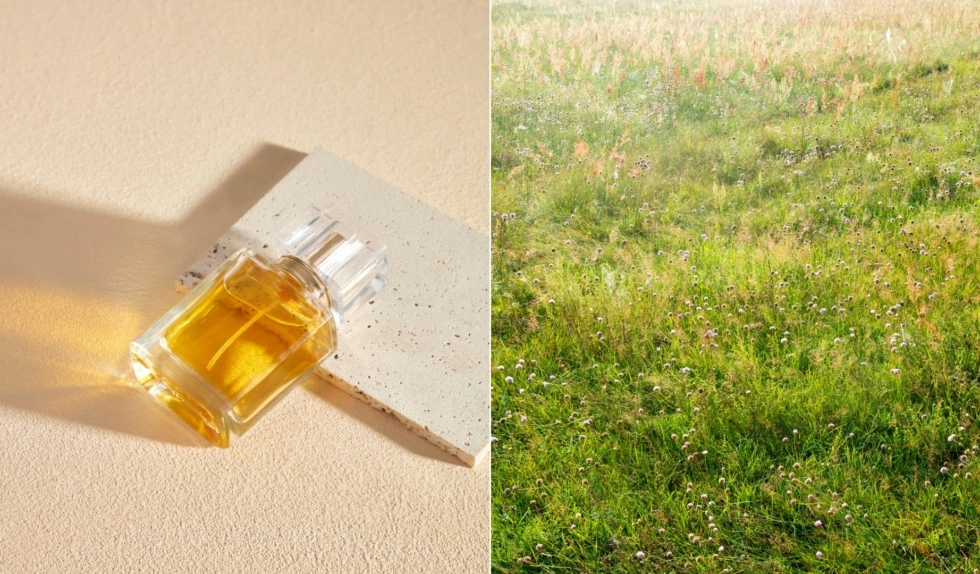 Najpiękniejsze perfumy z nutą miodu na wiosnę. Pachną jak spacer po łące