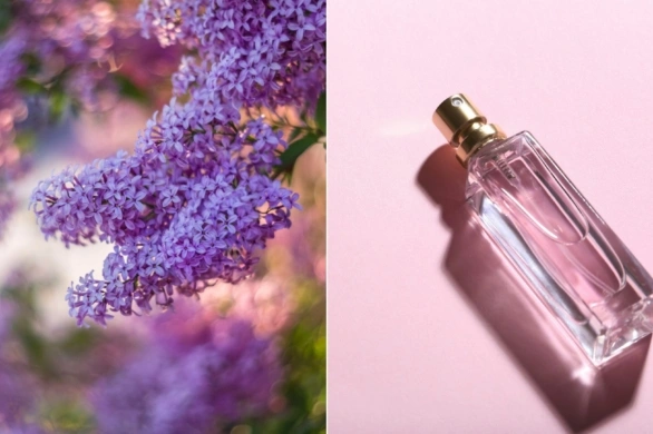 W maju nosimy perfumy z nutą bzu. 3 kompozycje, które pachną jak ogród po deszczu