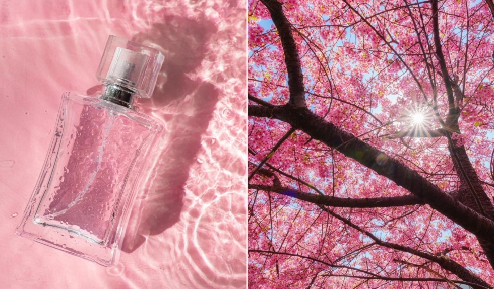 Perfumy z nutą sakury to idealny wybór na wiosnę. Najpiękniejsze zapachy z kwiatem wiśni