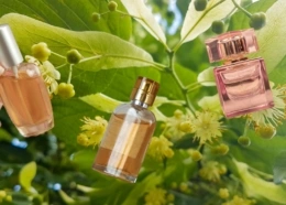 Perfumy z nutą kwitnącej lipy to zapach polskiego lata zamknięty we flakonie. Oto TOP 3 kompozycje