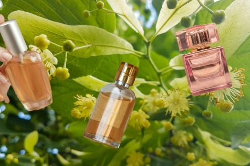 Perfumy z nutą kwitnącej lipy to zapach polskiego lata zamknięty we flakonie. Oto TOP 3 kompozycje