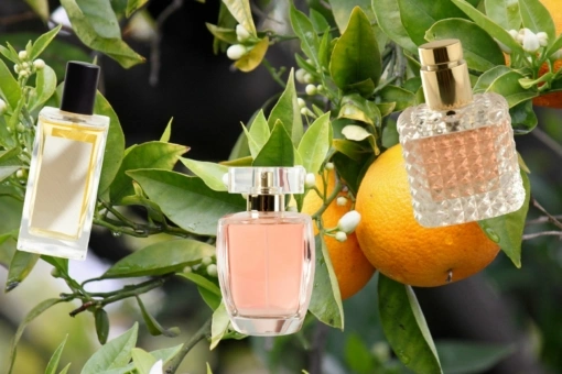Perfumy z nutą neroli podbijają lato 2026. Pachną jak wakacje nad Morzem Śródziemnym